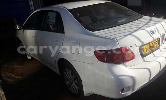 Buy Used Toyota Corolla White Car in Windhoek in Namibia Buy Used Toyota Corolla White Car in Windhoek in Namibia