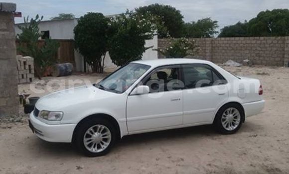 Buy Used Toyota Corolla White Car in Windhoek in Namibia Buy Used Toyota Corolla White Car in Windhoek in Namibia