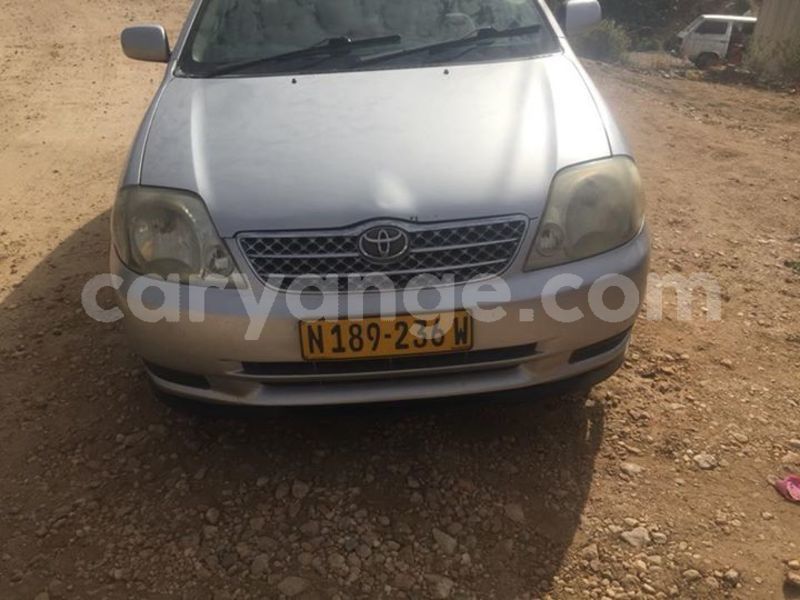 Big with watermark 25075045 1436706473124388 2663118157098388861 o