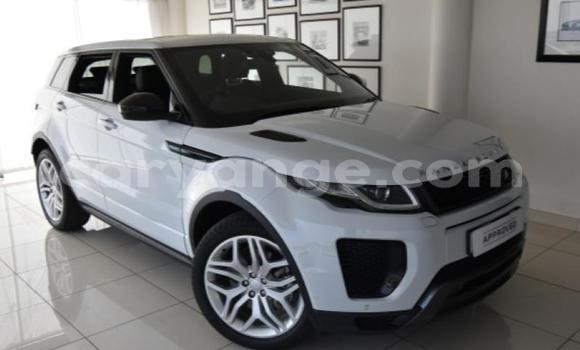 Buy Used Land Rover Range Rover White Car in Gobabis in Omaheke