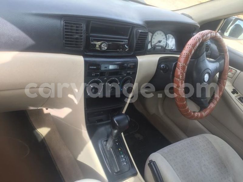 Big with watermark 25152125 1436706493124386 3988117729400250843 n