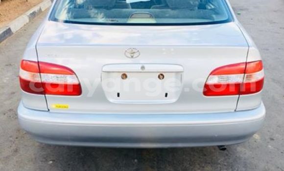 Buy Used Toyota Corolla Silver Car in Windhoek in Namibia Buy Used Toyota Corolla Silver Car in Windhoek in Namibia