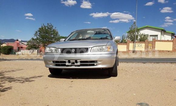 Buy Used Toyota Corolla Silver Car in Windhoek in Namibia Buy Used Toyota Corolla Silver Car in Windhoek in Namibia