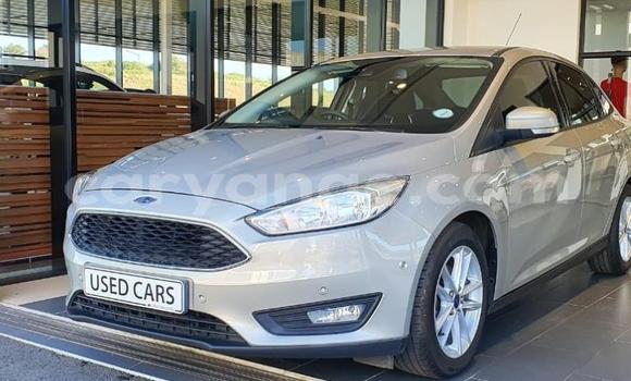 Buy Used Ford Focus Other Car in Gobabis in Omaheke