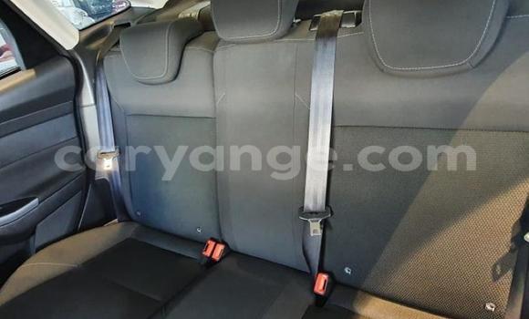 Acheter Occasion Voiture Ford Focus Autre à Gobabis, Omaheke Acheter Occasion Voiture Ford Focus Autre à Gobabis, Omaheke