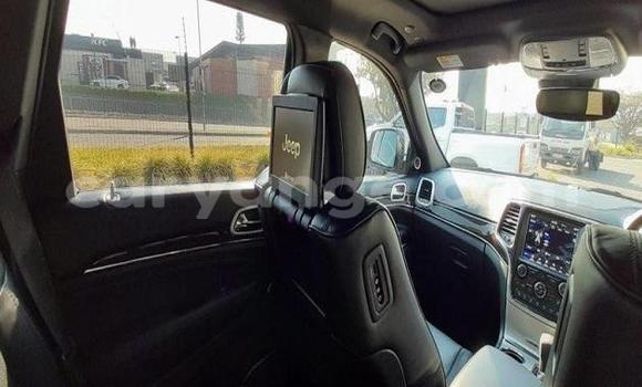 Buy Used Jeep Grand Cherokee Other Car in Leonardville in Omaheke Buy Used Jeep Grand Cherokee Other Car in Leonardville in Omaheke