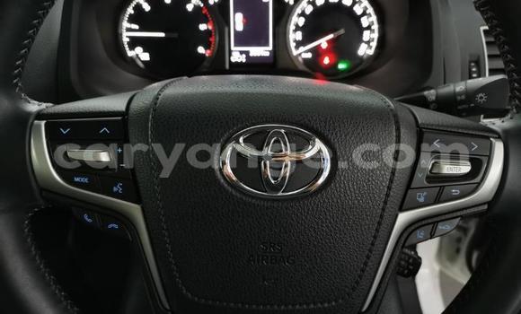 Acheter Occasion Voiture Toyota Land Cruiser Prado Blanc à Import - Dubai, Namibie Acheter Occasion Voiture Toyota Land Cruiser Prado Blanc à Import - Dubai, Namibie