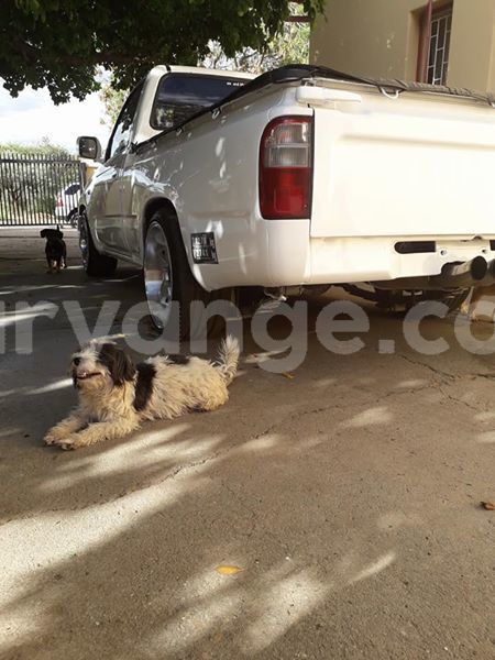 Big with watermark 25075045 1436706473124388 2663118157098388861 o