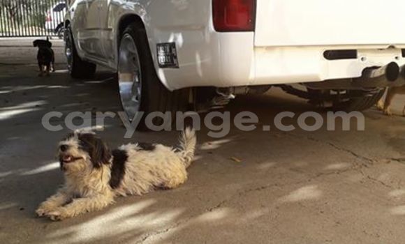 Buy Used Toyota Hilux White Car in Windhoek in Namibia Buy Used Toyota Hilux White Car in Windhoek in Namibia