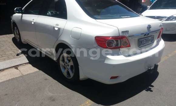 Buy Used Toyota Corolla White Car in Windhoek in Namibia Buy Used Toyota Corolla White Car in Windhoek in Namibia