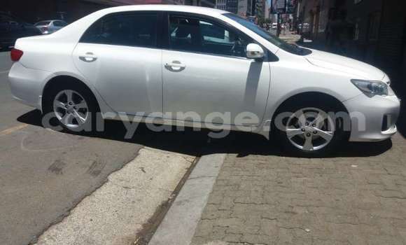 Buy Used Toyota Corolla White Car in Windhoek in Namibia Buy Used Toyota Corolla White Car in Windhoek in Namibia