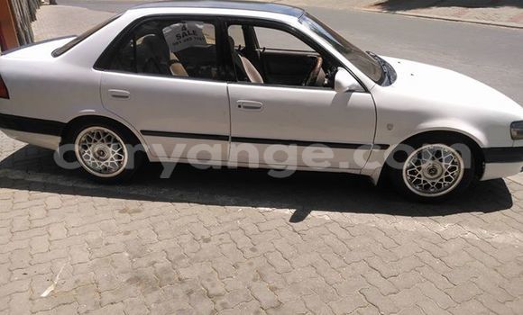 Buy Used Toyota Corolla White Car in Windhoek in Namibia Buy Used Toyota Corolla White Car in Windhoek in Namibia