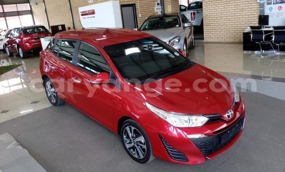 Buy Used Toyota Yaris Red Car in Gobabis in Omaheke