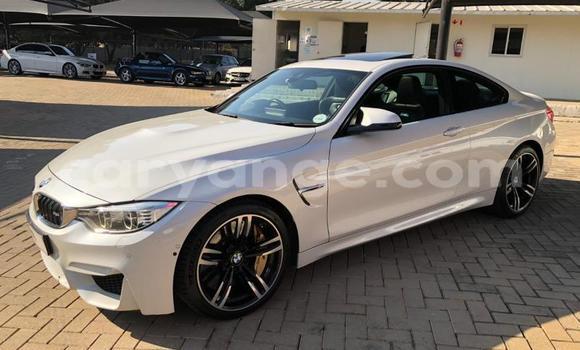 Acheter Occasion Voiture BMW M4 Blanc à Henties Bay, Erongo