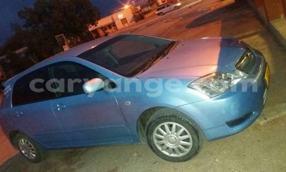 Buy Used Toyota Runx Blue Car in Otjiwarongo in Namibia Buy Used Toyota Runx Blue Car in Otjiwarongo in Namibia