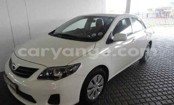 Buy Used Toyota Corolla White Car in Windhoek in Namibia Buy Used Toyota Corolla White Car in Windhoek in Namibia