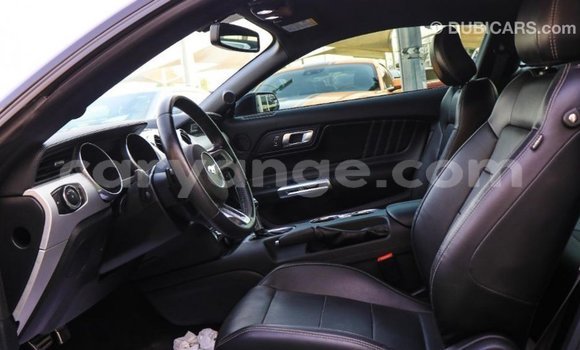 Buy Import Ford Mustang Black Car in Import - Dubai in Namibia Buy Import Ford Mustang Black Car in Import - Dubai in Namibia