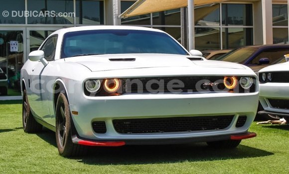 Buy Import Dodge Challenger White Car in Import - Dubai in Namibia Buy Import Dodge Challenger White Car in Import - Dubai in Namibia