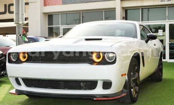 Buy Import Dodge Challenger White Car in Import - Dubai in Namibia