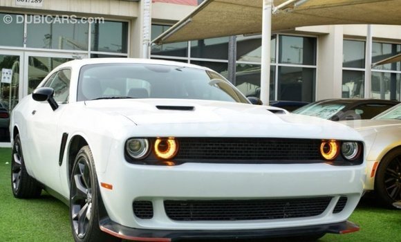 Buy Import Dodge Challenger White Car in Import - Dubai in Namibia Buy Import Dodge Challenger White Car in Import - Dubai in Namibia