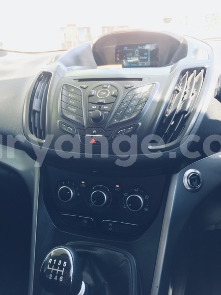 Big with watermark img 3550 edited 