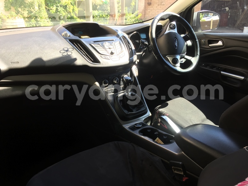 Big with watermark img 3565