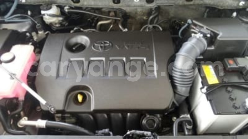 Big with watermark 2910950 6