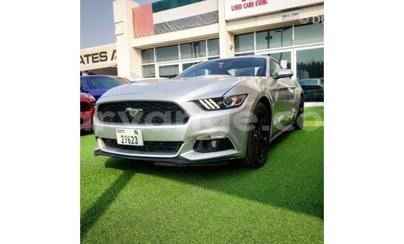 Buy Import Ford Mustang Other Car in Import - Dubai in Namibia Buy Import Ford Mustang Other Car in Import - Dubai in Namibia