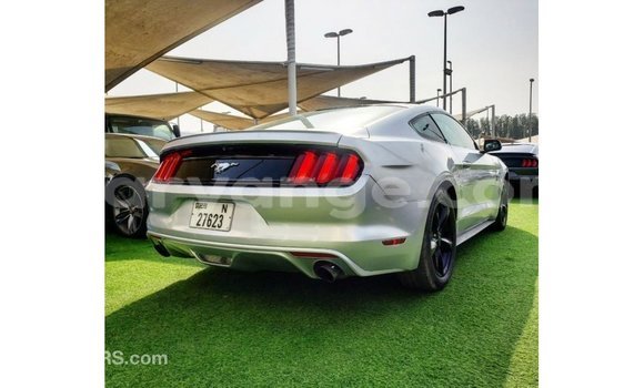 Buy Import Ford Mustang Other Car in Import - Dubai in Namibia Buy Import Ford Mustang Other Car in Import - Dubai in Namibia
