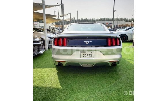 Buy Import Ford Mustang Other Car in Import - Dubai in Namibia Buy Import Ford Mustang Other Car in Import - Dubai in Namibia