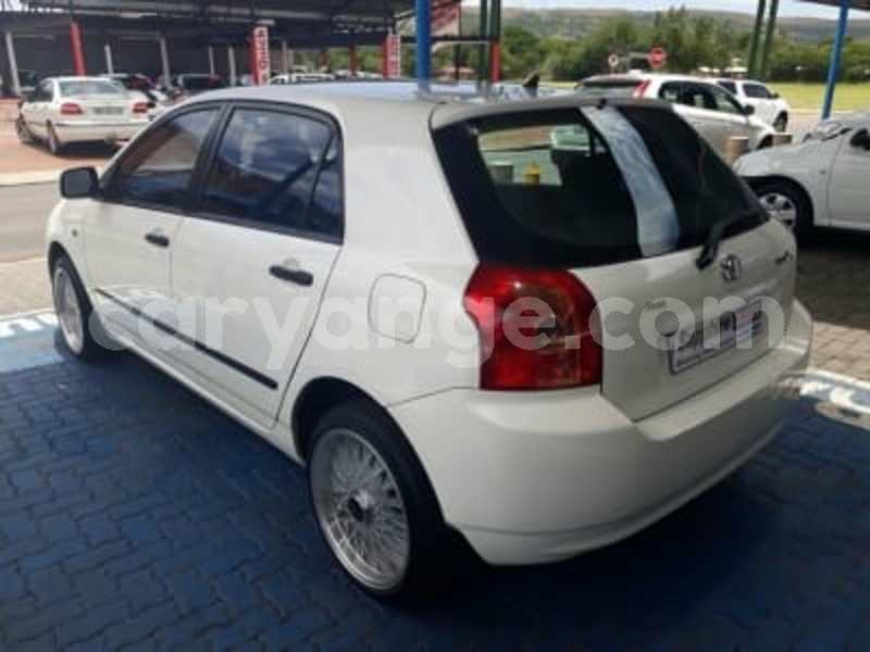 Big with watermark 2954420 8