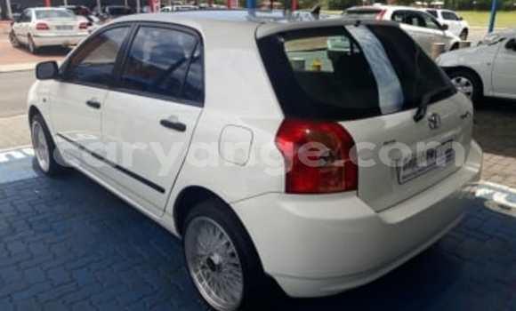 Buy Used Toyota Runx White Car in Windhoek in Namibia Buy Used Toyota Runx White Car in Windhoek in Namibia