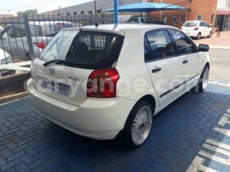 Big with watermark 2954420 6