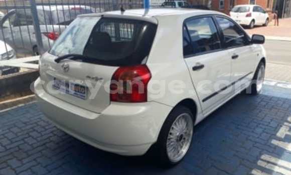 Buy Used Toyota Runx White Car in Windhoek in Namibia Buy Used Toyota Runx White Car in Windhoek in Namibia