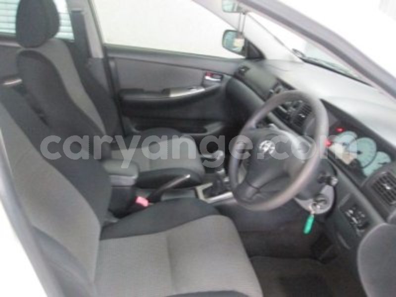 Big with watermark 1832378 6