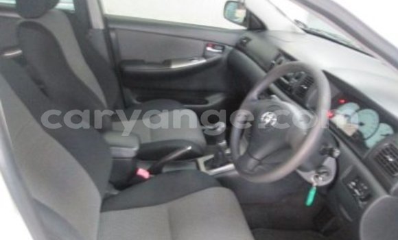 Buy Used Toyota Runx White Car in Windhoek in Namibia Buy Used Toyota Runx White Car in Windhoek in Namibia