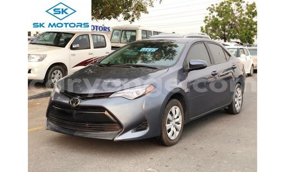 Buy Import Toyota Corolla Other Car in Import - Dubai in Namibia
