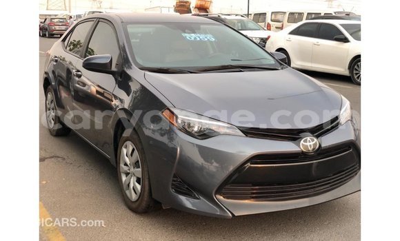 Buy Import Toyota Corolla Other Car in Import - Dubai in Namibia Buy Import Toyota Corolla Other Car in Import - Dubai in Namibia