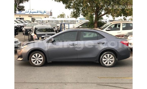Buy Import Toyota Corolla Other Car in Import - Dubai in Namibia Buy Import Toyota Corolla Other Car in Import - Dubai in Namibia