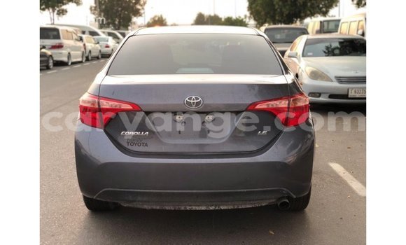 Buy Import Toyota Corolla Other Car in Import - Dubai in Namibia Buy Import Toyota Corolla Other Car in Import - Dubai in Namibia