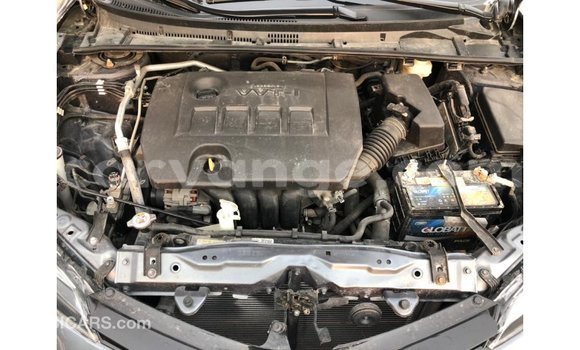 Buy Import Toyota Corolla Other Car in Import - Dubai in Namibia Buy Import Toyota Corolla Other Car in Import - Dubai in Namibia