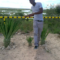 Medium img 20160716 104734 edit